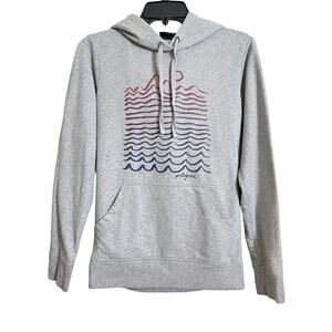 Patagonia Womens Wavy Maybe Ahnya Hooded Sweatshirt Organic Cotton Sz XS Gray